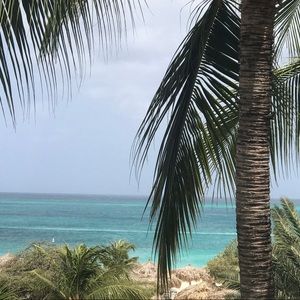 Meet your Posher, Kylie